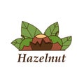 Vector hazelnut logo in cartoon style.